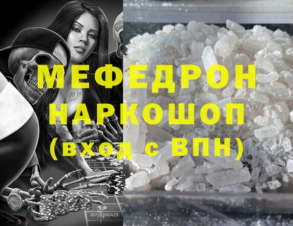 spice Богородицк